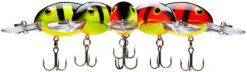 Bandit 200 Series Medium Diving Crankbait -Professional Fishing Store BDT258
