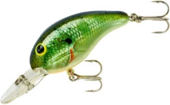 Bandit 200 Series Medium Diving Crankbait -Professional Fishing Store BDT2B38