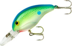 Bandit 200 Series Medium Diving Crankbait -Professional Fishing Store BDT2D01