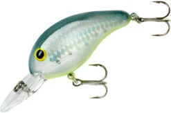 Bandit 200 Series Medium Diving Crankbait -Professional Fishing Store BDT2D67