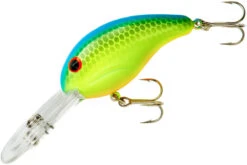 Bandit 300 Series Deep Diving Crankbait -Professional Fishing Store BDT336