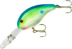 Bandit 300 Series Deep Diving Crankbait -Professional Fishing Store BDT3D01