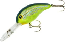 Bandit 300 Series Deep Diving Crankbait -Professional Fishing Store BDT3D66