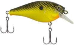 Berkley SquareBull 2 3/8 Inch Shallow Squarebill Crankbait -Professional Fishing Store Berkley SquareBull Black Chartreuse 2017 alt2 2000