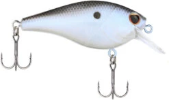 Berkley SquareBull 2 3/8 Inch Shallow Squarebill Crankbait -Professional Fishing Store Berkley Squarebull BlueShad 55 alt2 2000