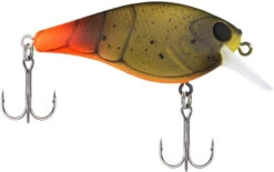 Berkley SquareBull 2 3/8 Inch Shallow Squarebill Crankbait -Professional Fishing Store Berkley Squarebull FiretailGreenCraw 55 alt2 2000