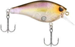 Berkley SquareBull 2 3/8 Inch Shallow Squarebill Crankbait -Professional Fishing Store Berkley Squarebull GhostMorningDawn 55 alt2 2000