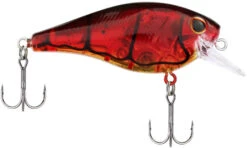 Berkley SquareBull 2 3/8 Inch Shallow Squarebill Crankbait -Professional Fishing Store Berkley Squarebull GhostRedCraw 35 alt2 2000