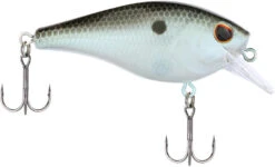 Berkley SquareBull 2 3/8 Inch Shallow Squarebill Crankbait -Professional Fishing Store Berkley Squarebull GreenShad 35 alt2 2000
