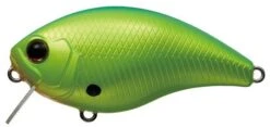 Evergreen International CH-1 Waking Crankbait -Professional Fishing Store Blue Back Chartreuse 1598174e bab0 4422 85b4 b4dd94182b13