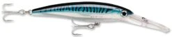 Rapala X-Rap Magnum 10 Big Game Slash Bait -Professional Fishing Store Blue Mackerel 14ee4508 8714 489d 9eba 49b960da5159