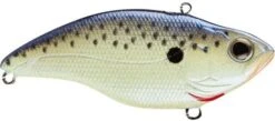 SPRO Aruku Shad 75 Lipless Crankbait -Professional Fishing Store Cell Mate d6e7b25a 592d 4ca6 8952 d9ed08729a55