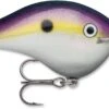 Rapala DT Series Crankbait DT16 -Professional Fishing Store DT10 14 16 BGSD 73079a29 a409 4337 a470 62833f2a7c7a