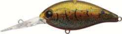 Evergreen International CR-10 Deep Diving Crankbait -Professional Fishing Store EVG CR 10 216 Olive Crawdad