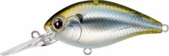 Evergreen International CR-10 Deep Diving Crankbait -Professional Fishing Store Evergreen CR 426 TIF