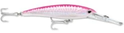 Rapala X-Rap Magnum 40 Big Game Slash Bait -Professional Fishing Store Hot Pink UV b24b35dc 2fca 4a2a b250 4347bf61c445