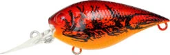 Lucky Craft LC 0.7 DR Deep Running Crankbait -Professional Fishing Store LC 0 7DR 137TOCR