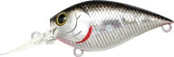Lucky Craft LC 0.7 DR Deep Running Crankbait -Professional Fishing Store LC 0 7DR 419BPGSN