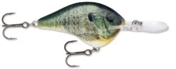 Rapala DT Series Crankbait DT16 -Professional Fishing Store Live Bluegill 33de4d69 a516 4749 afce 604f7481303d