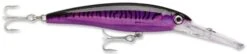 Rapala X-Rap Magnum 10 Big Game Slash Bait -Professional Fishing Store Purple Mackerel 13af5489 fdac 474f 8fb0 6672207856ee
