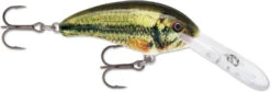 Rapala Shad Dancer SDD05 Medium Diving Crankbait -Professional Fishing Store SDD LBL