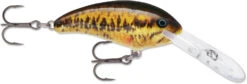 Rapala Shad Dancer SDD05 Medium Diving Crankbait -Professional Fishing Store SDD SBL