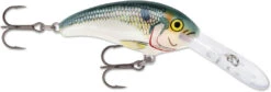 Rapala Shad Dancer SDD05 Medium Diving Crankbait -Professional Fishing Store SDD SD