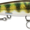 Rapala Shadow Rap 11 Jerkbait -Professional Fishing Store SDR PEL