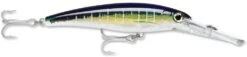 Rapala X-Rap Magnum 10 Big Game Slash Bait -Professional Fishing Store Sailfish UV 9fb6931a 3681 44e1 bda3 7a859014566d