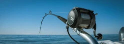 Daiwa Tanacom 800 Power Assist Electric Dendoh Reel -Professional Fishing Store TANACOM 800 BANNER1