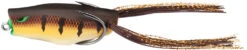 13 Fishing Trash Panda Hollow Body Poppin' Frog -Professional Fishing Store TPPF 20
