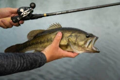 Temple Fork Outfitters Tactical Bass Glass Casting Rods -Professional Fishing Store Tactical Bass Bottom Banner Lifestlye 1 f6a75b7c 7ed5 4159 863b 849c406dbdfc