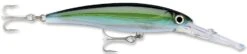 Rapala X-Rap Magnum 10 Big Game Slash Bait -Professional Fishing Store Yellowfin Tuna add30b88 e845 4111 b00f a8081e56ef9b