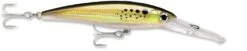 Rapala X-Rap Magnum 40 Big Game Slash Bait -Professional Fishing Store bunker 628d1cb7 16e9 4812 9d82 e4fb9334c5e2
