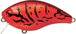 Evergreen International CH-1 Waking Crankbait -Professional Fishing Store evergreen CH 1 064 firecraw