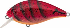 Evergreen International SH-3 Shallow Squarebill Crankbait -Professional Fishing Store evergreen SH 3 223 speed craw