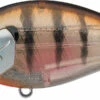 Evergreen International SH-3 Shallow Squarebill Crankbait -Professional Fishing Store evergreen SH 3 246 ghost baby gill