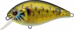 Evergreen International SH-3 Shallow Squarebill Crankbait -Professional Fishing Store evergreen SH 3 286 skeleton pumpkinseed