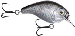 13 Fishing Scamp 1.5/2.5 Squarebill Crankbait -Professional Fishing Store flipDisco shad