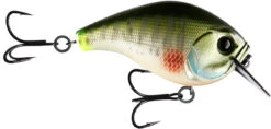 13 Fishing Scamp 1.5/2.5 Squarebill Crankbait -Professional Fishing Store flipDream Gill