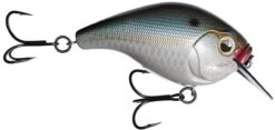 13 Fishing Scamp 1.5/2.5 Squarebill Crankbait -Professional Fishing Store flipNatty night