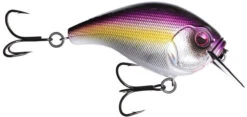 13 Fishing Scamp 1.5/2.5 Squarebill Crankbait -Professional Fishing Store flipPurple Nurple