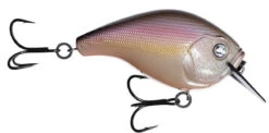 13 Fishing Scamp 1.5/2.5 Squarebill Crankbait -Professional Fishing Store flipRegurgitated Shad