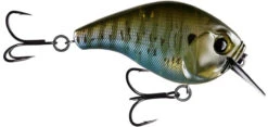 13 Fishing Scamp 1.5/2.5 Squarebill Crankbait -Professional Fishing Store flipRusty Bream