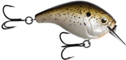 13 Fishing Scamp 1.5/2.5 Squarebill Crankbait -Professional Fishing Store flipTruffle Butter