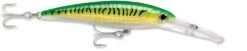 Rapala X-Rap Magnum 30 Big Game Slash Bait -Professional Fishing Store gold green mackerel 9283f310 85a5 4cbc 8322 c3424b6a65de