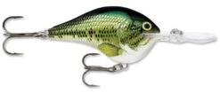 Rapala DT Series Crankbait DT16 -Professional Fishing Store rapala dt10 baby bass 9f4297d4 e93b 4dc9 9e82 ad9811b01dc0