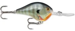 Rapala DT Series Crankbait DT16 -Professional Fishing Store rapala dt10 bluegill f174ddf6 bff7 40b2 a370 19e4ee6a3db7