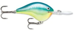 Rapala DT Series Crankbait DT16 -Professional Fishing Store rapala dt10 caribbean shad f66bce04 fcc7 4052 82ab f212457de5b6