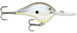 Rapala DT Series Crankbait DT16 -Professional Fishing Store rapala dt10 disco shad 9632b2c9 276d 4e32 b373 24131fa63205